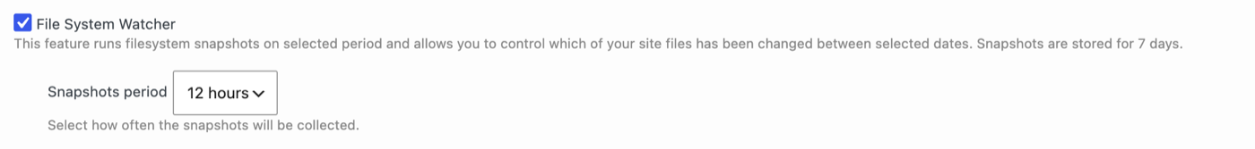 The File System Watcher option and snapshots frequency setting in Security by CleanTalk.